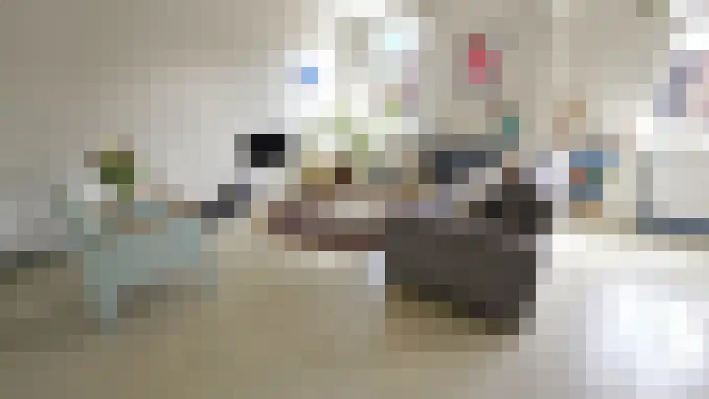 Zuideinde 5 Westzaan thumbnail 8
