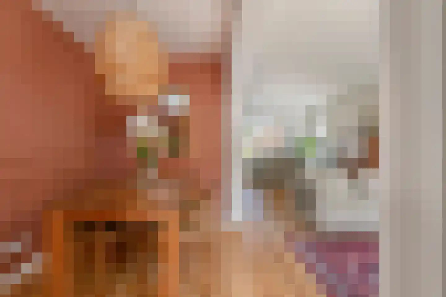 Zuideinde 50 Oostzaan thumbnail 21