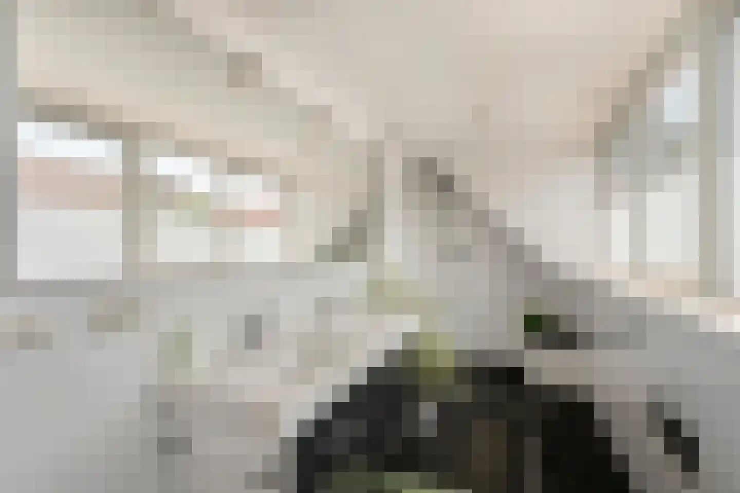 Zuideinde 50 Oostzaan thumbnail 32