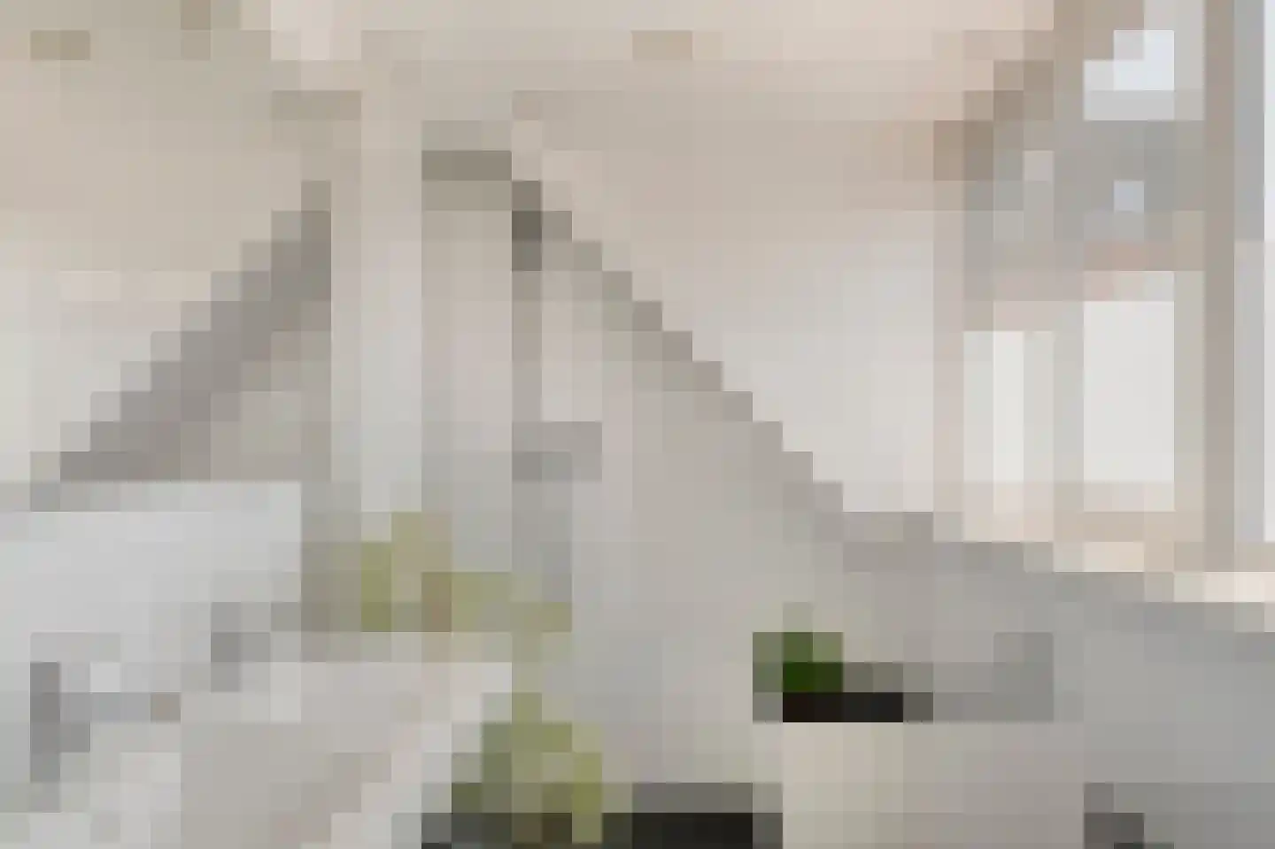 Zuideinde 50 Oostzaan thumbnail 33