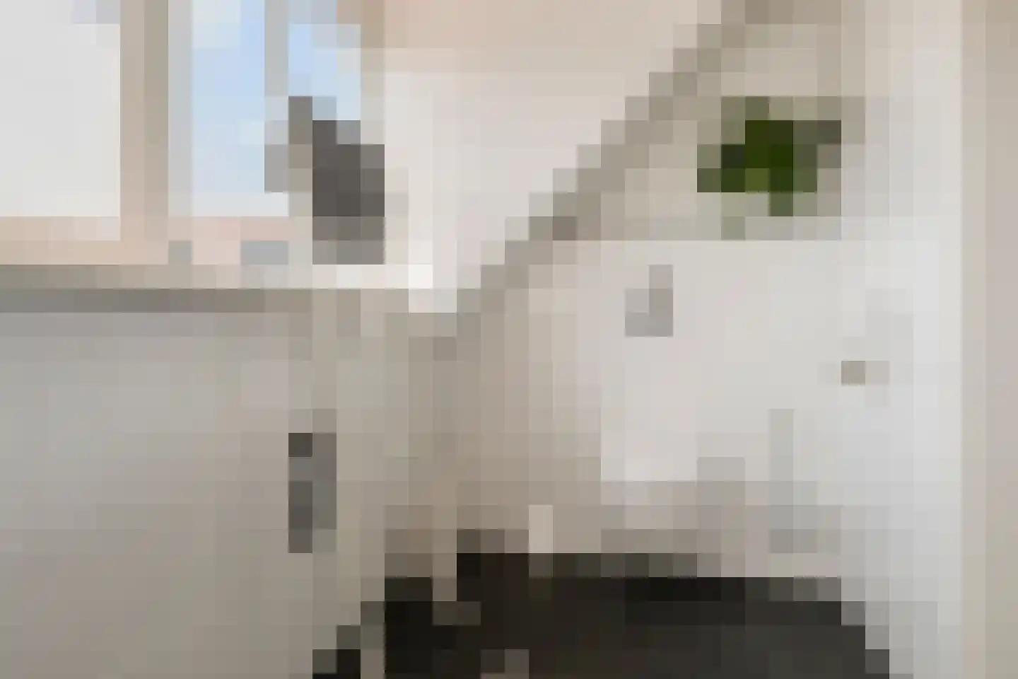 Zuideinde 50 Oostzaan thumbnail 35