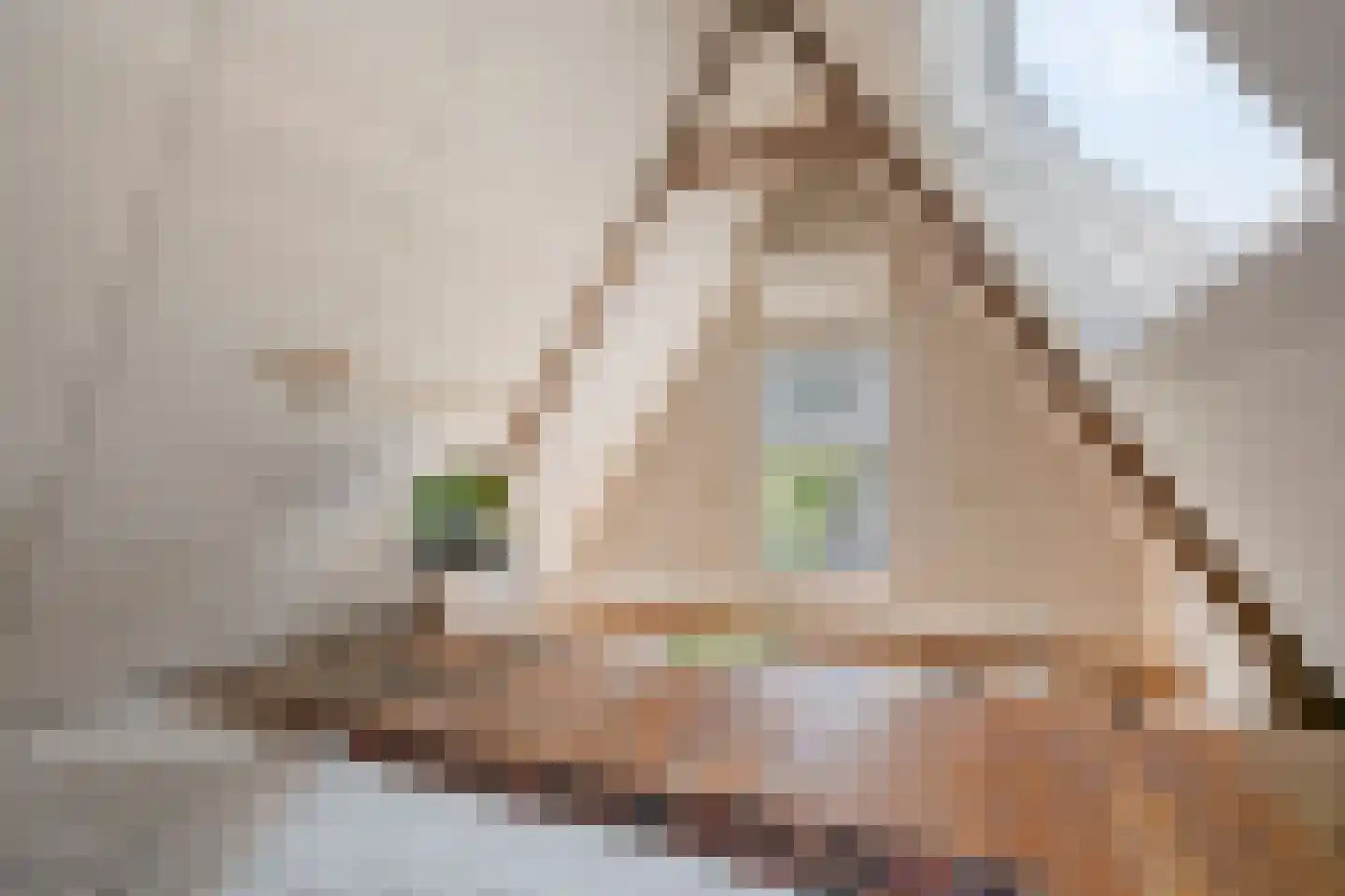 Zuideinde 50 Oostzaan thumbnail 49