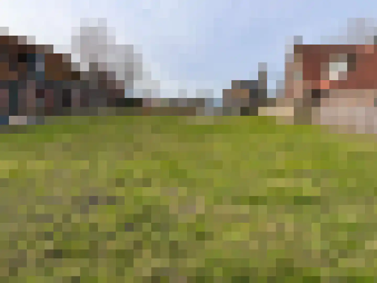 Zuideinde 51 A Grootschermer thumbnail 22