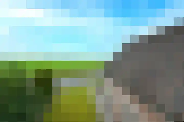 Zuideinde 51 A Nieuwkoop thumbnail 38