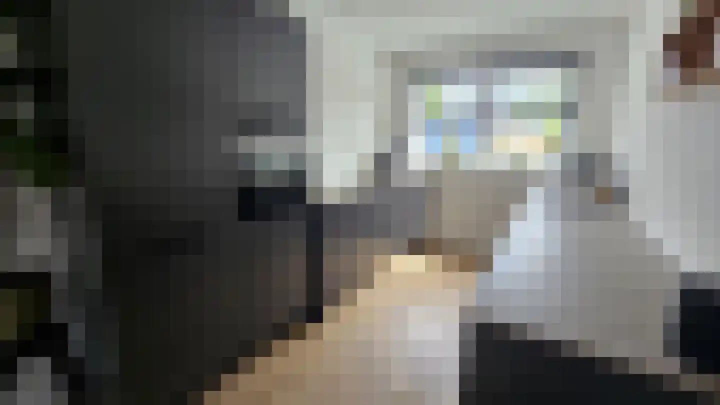Zuideinde 53 A Westzaan thumbnail 10