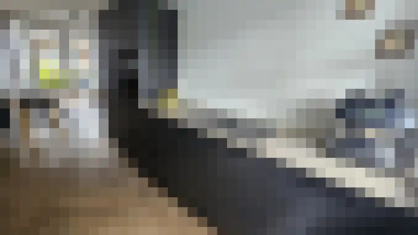 Zuideinde 53 A Westzaan thumbnail 12