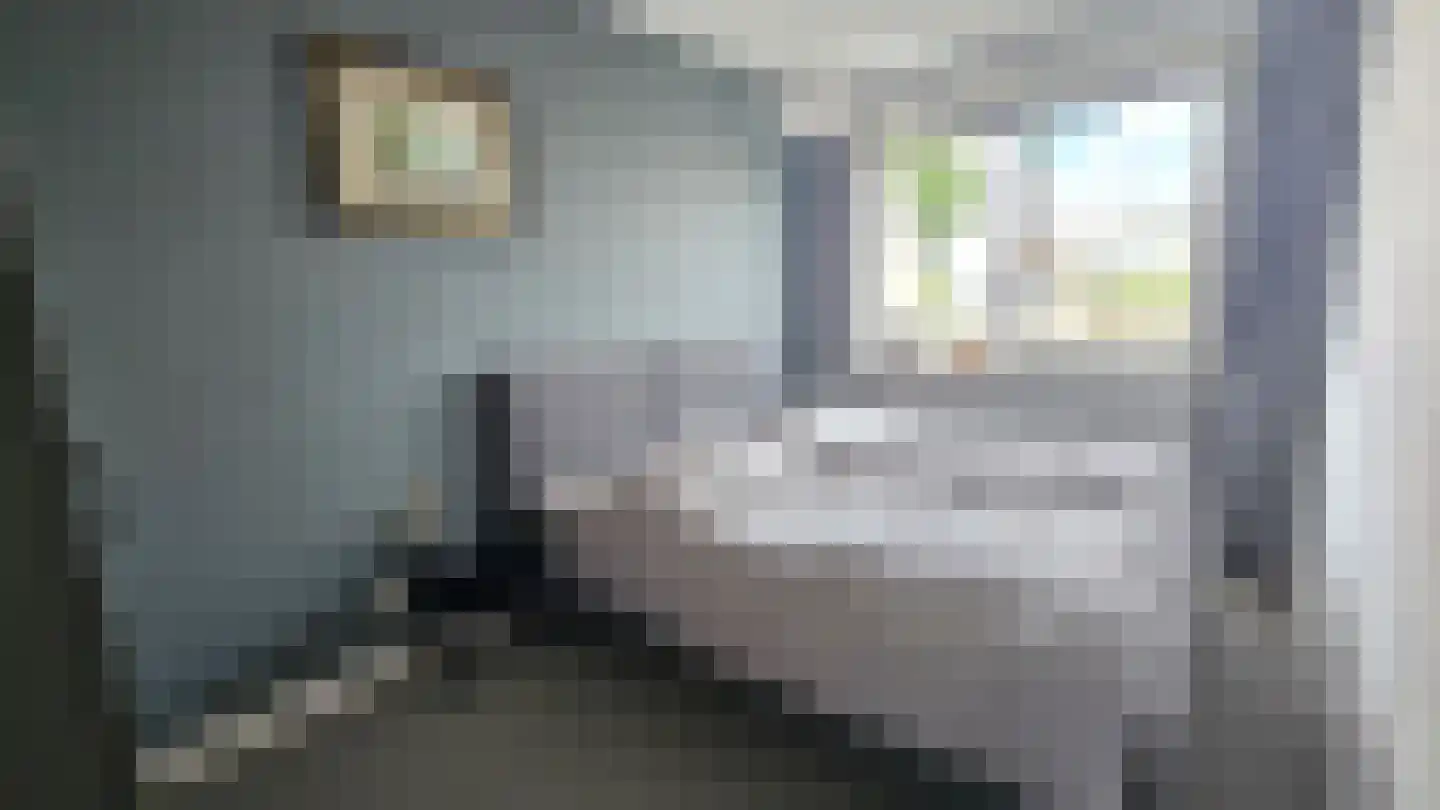 Zuideinde 53 A Westzaan thumbnail 18