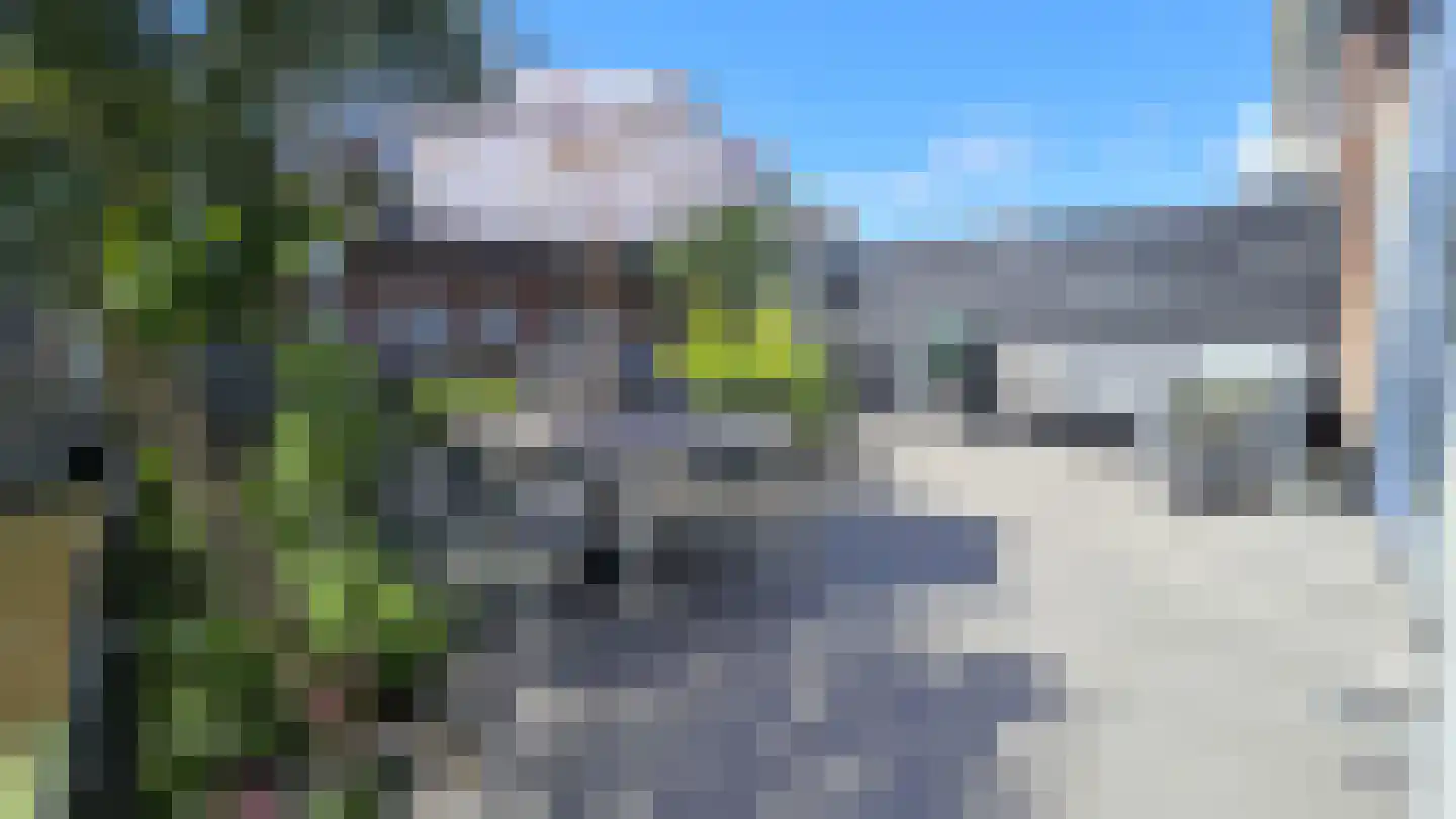 Zuideinde 53 A Westzaan thumbnail 31