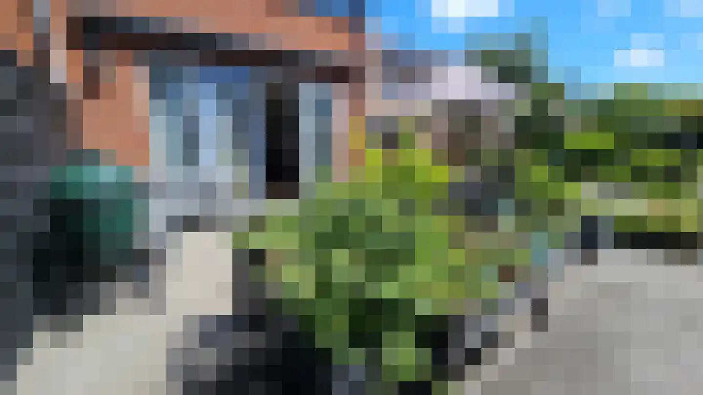 Zuideinde 53 A Westzaan thumbnail 34