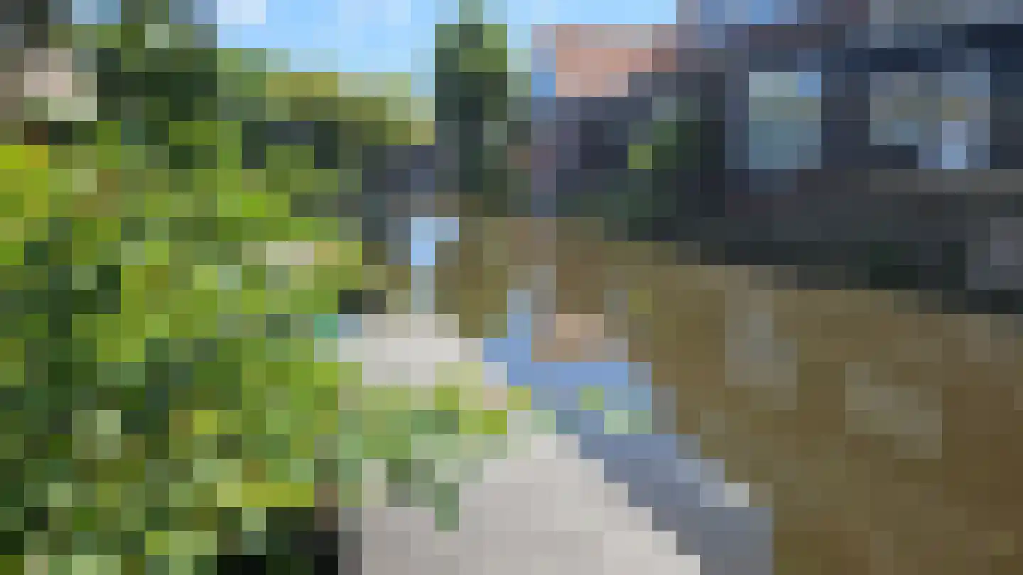 Zuideinde 53 A Westzaan thumbnail 35
