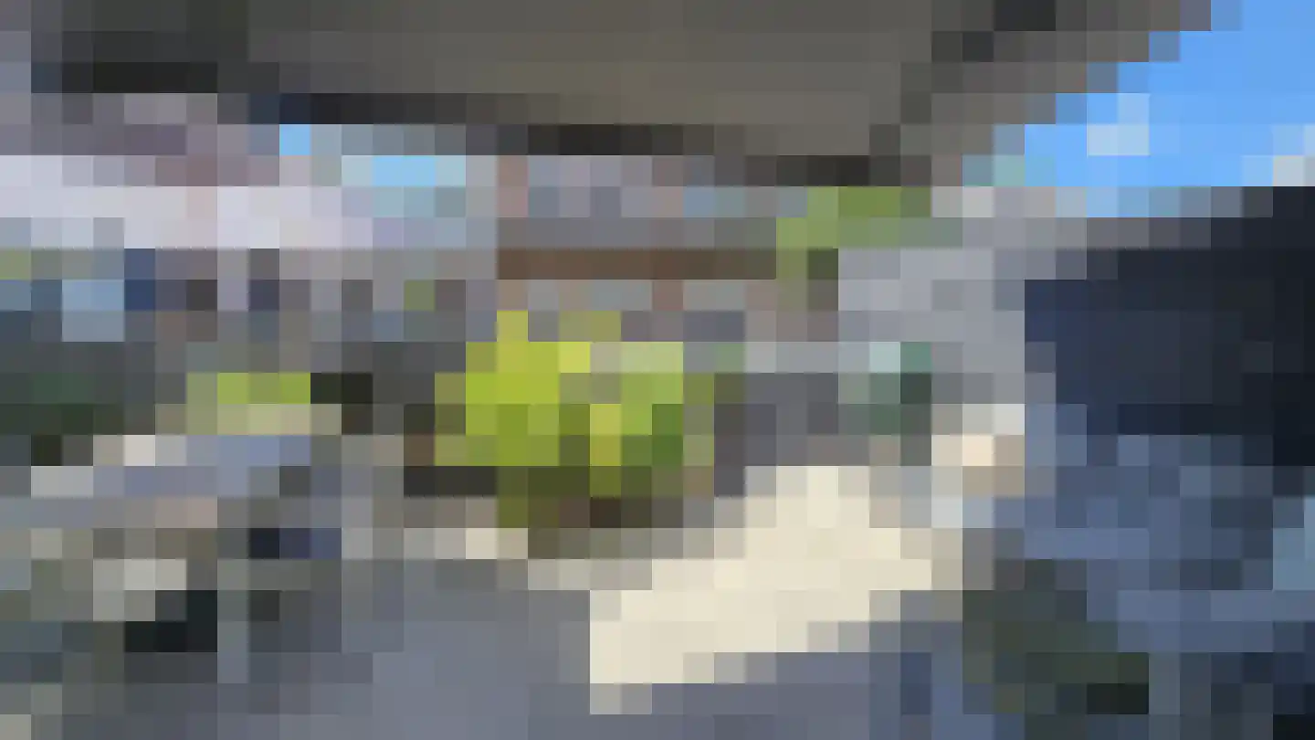 Zuideinde 53 A Westzaan thumbnail 37