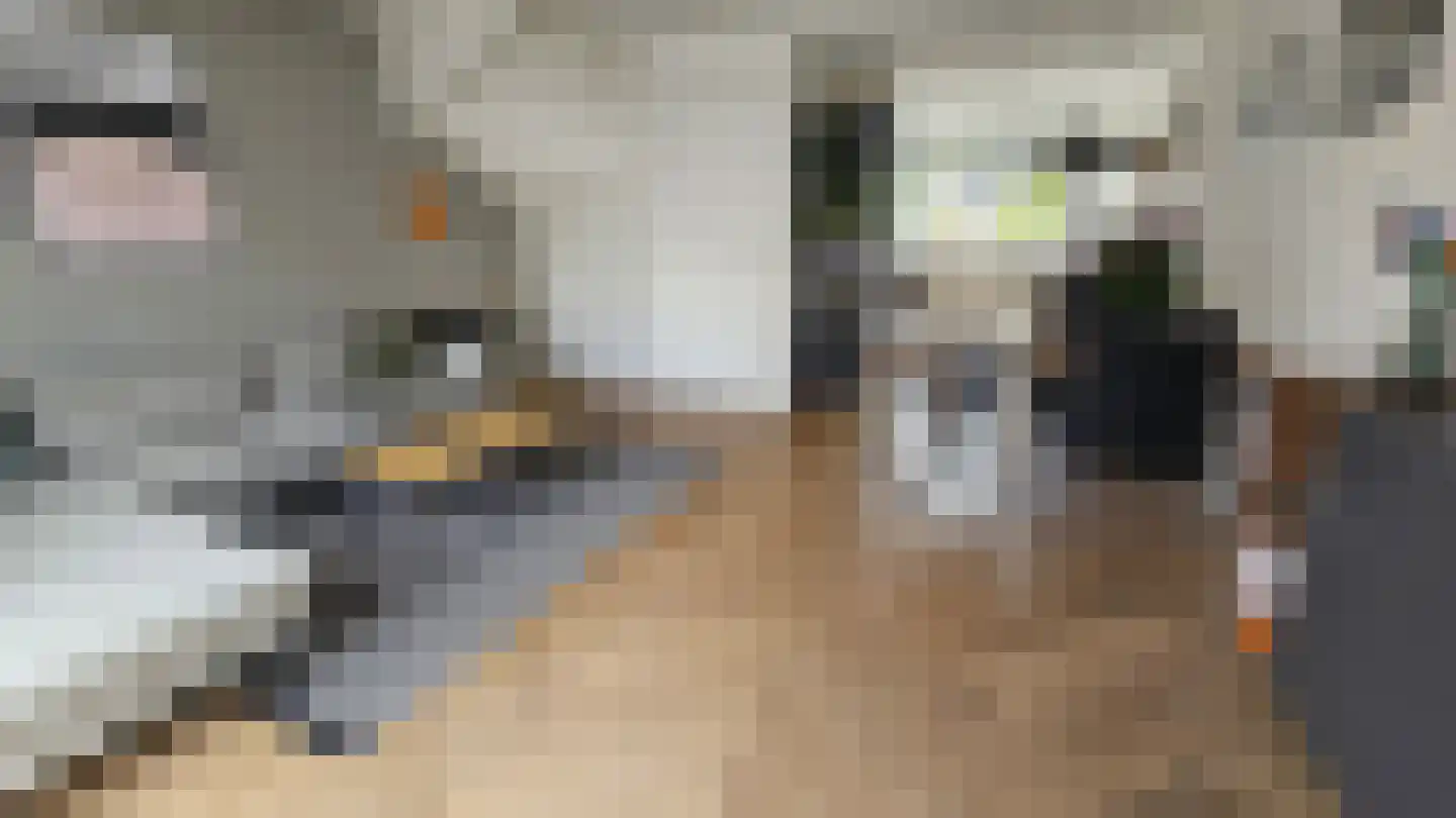 Zuideinde 53 A Westzaan thumbnail 5