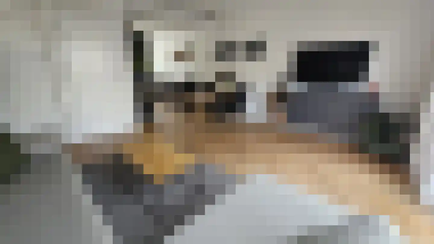 Zuideinde 53 A Westzaan thumbnail 7