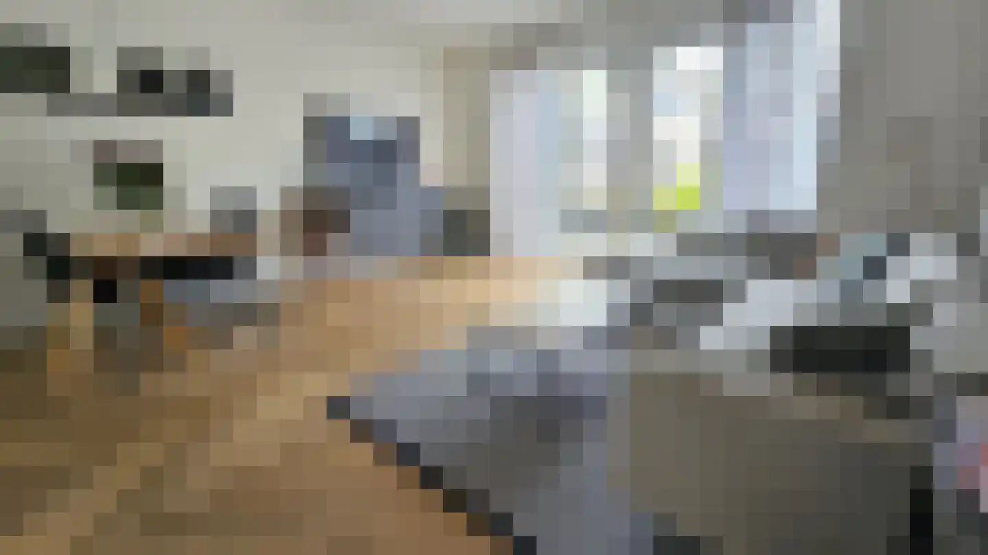 Zuideinde 53 A Westzaan thumbnail 8