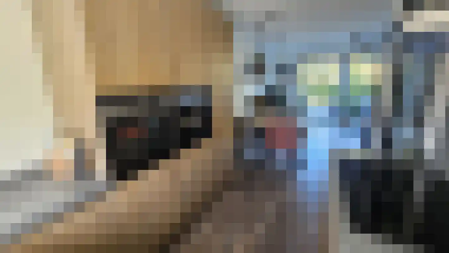 Zuideinde 53 K Westzaan thumbnail 14