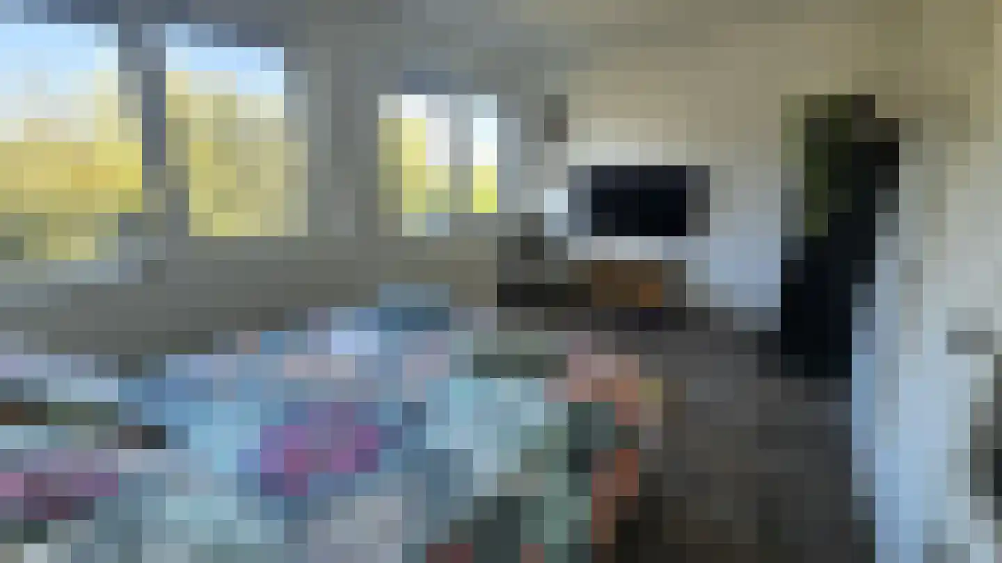 Zuideinde 53 K Westzaan thumbnail 20