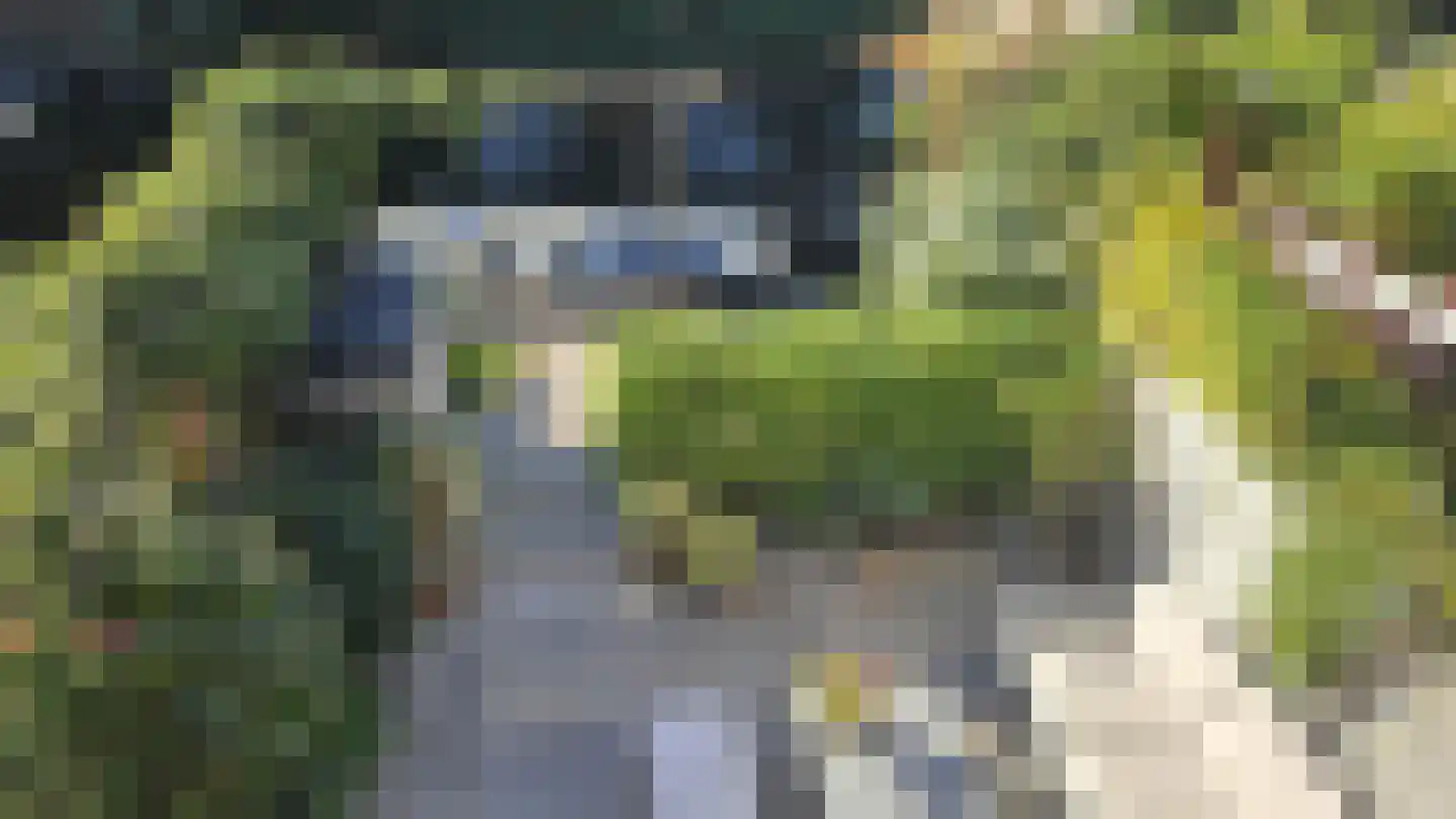 Zuideinde 53 K Westzaan thumbnail 22