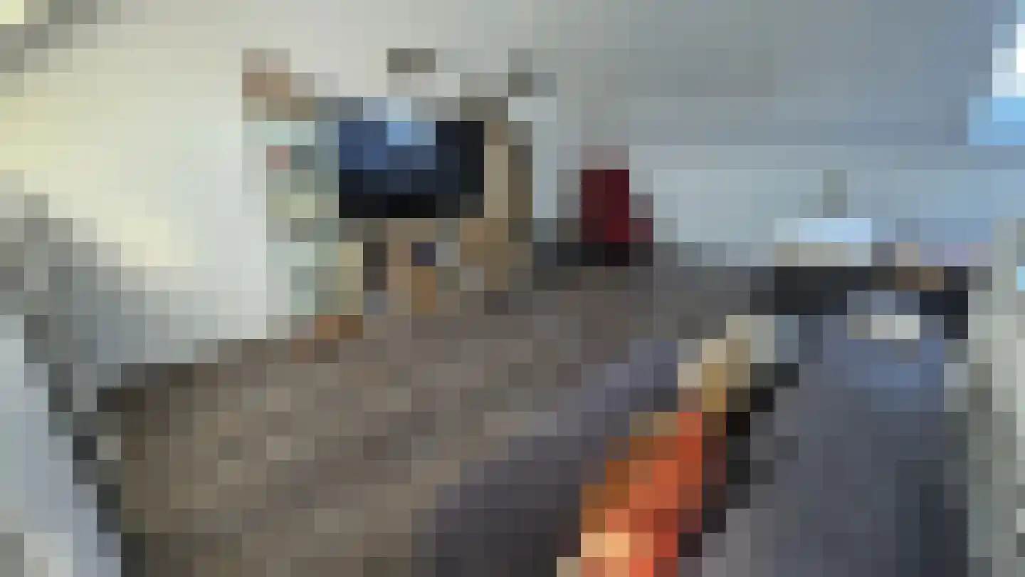 Zuideinde 53 K Westzaan thumbnail 32