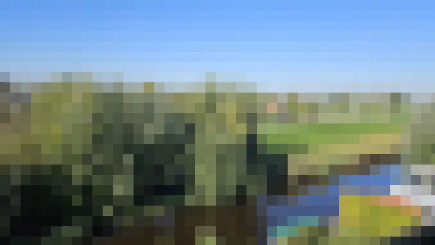 Zuideinde 53 K Westzaan thumbnail 34