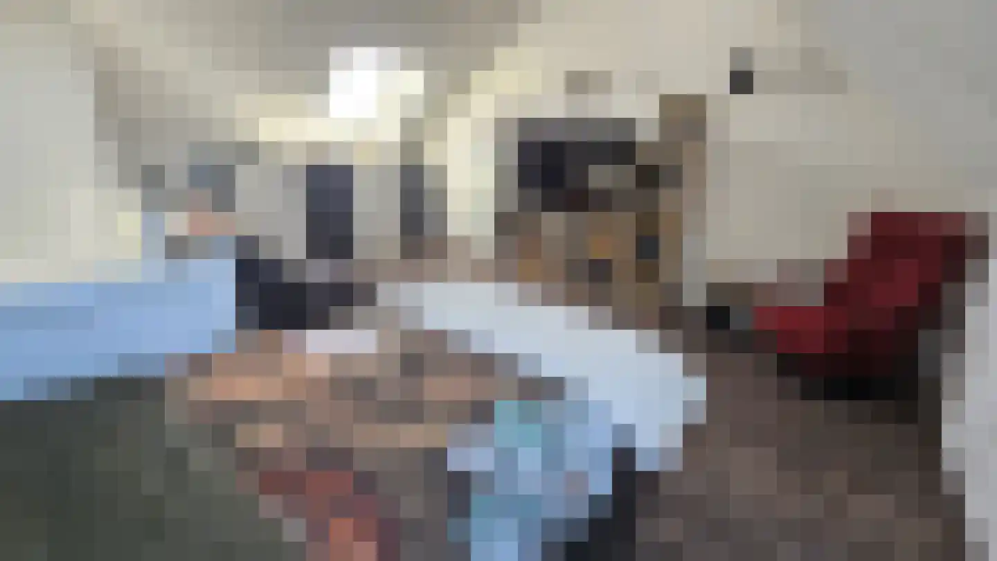 Zuideinde 53 K Westzaan thumbnail 36