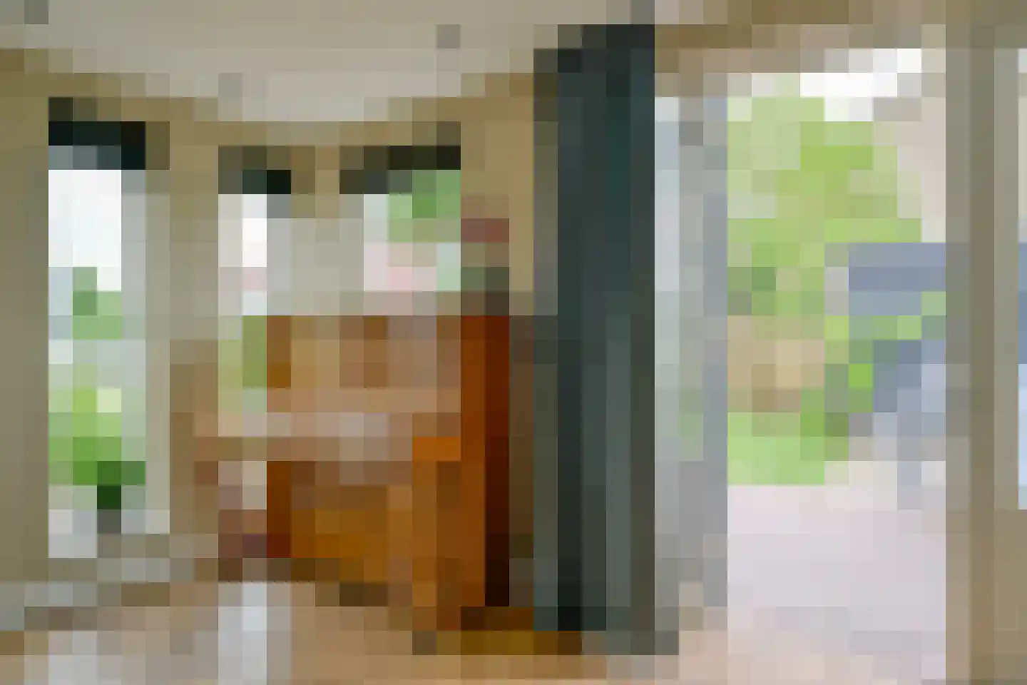 Zuideinde 56 Grootschermer thumbnail 12