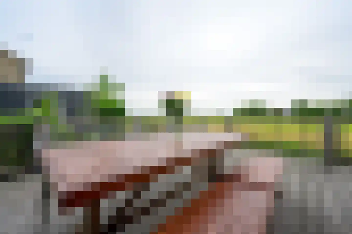 Zuideinde 56 Grootschermer thumbnail 16