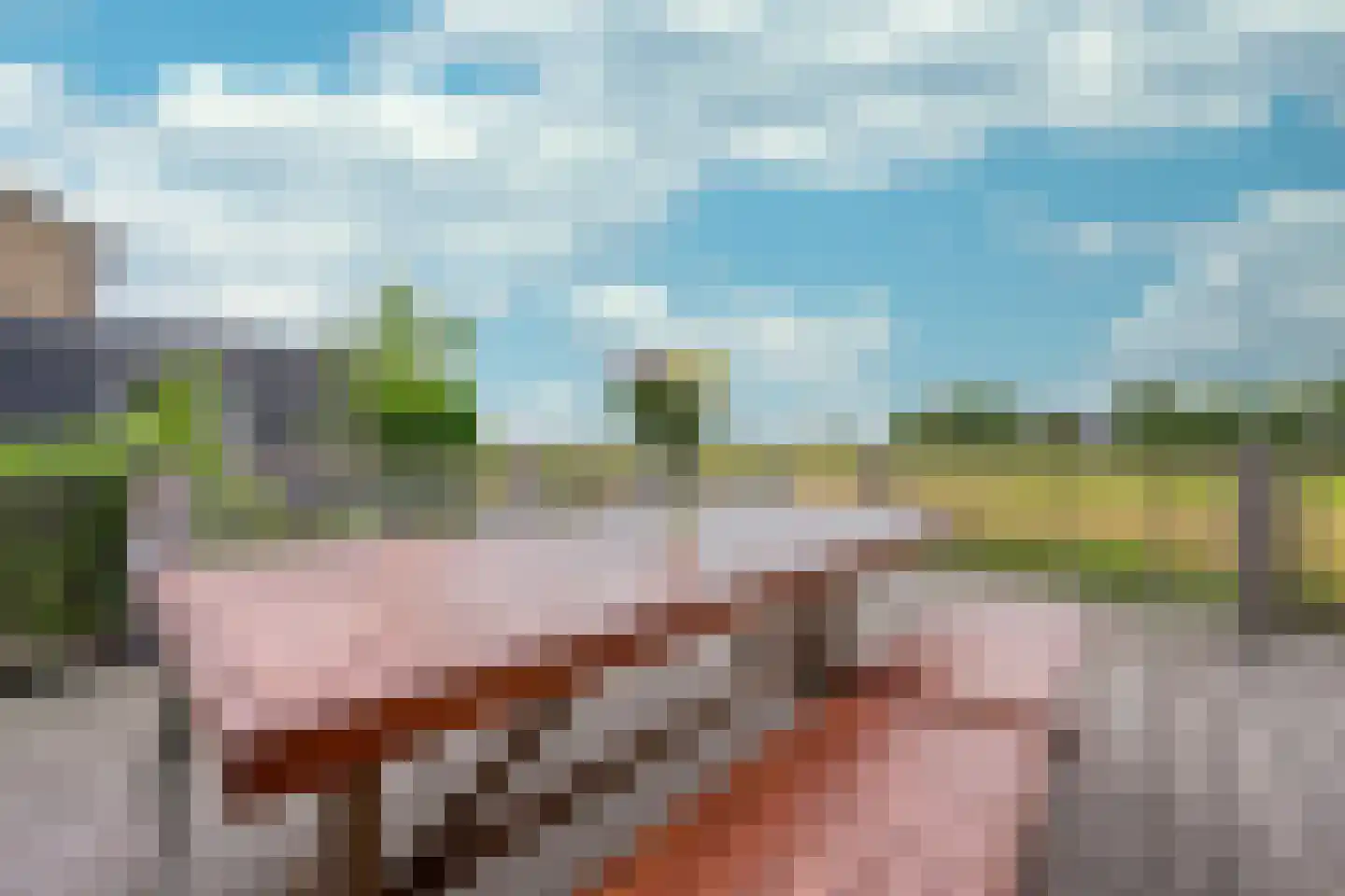 Zuideinde 56 Grootschermer thumbnail 17