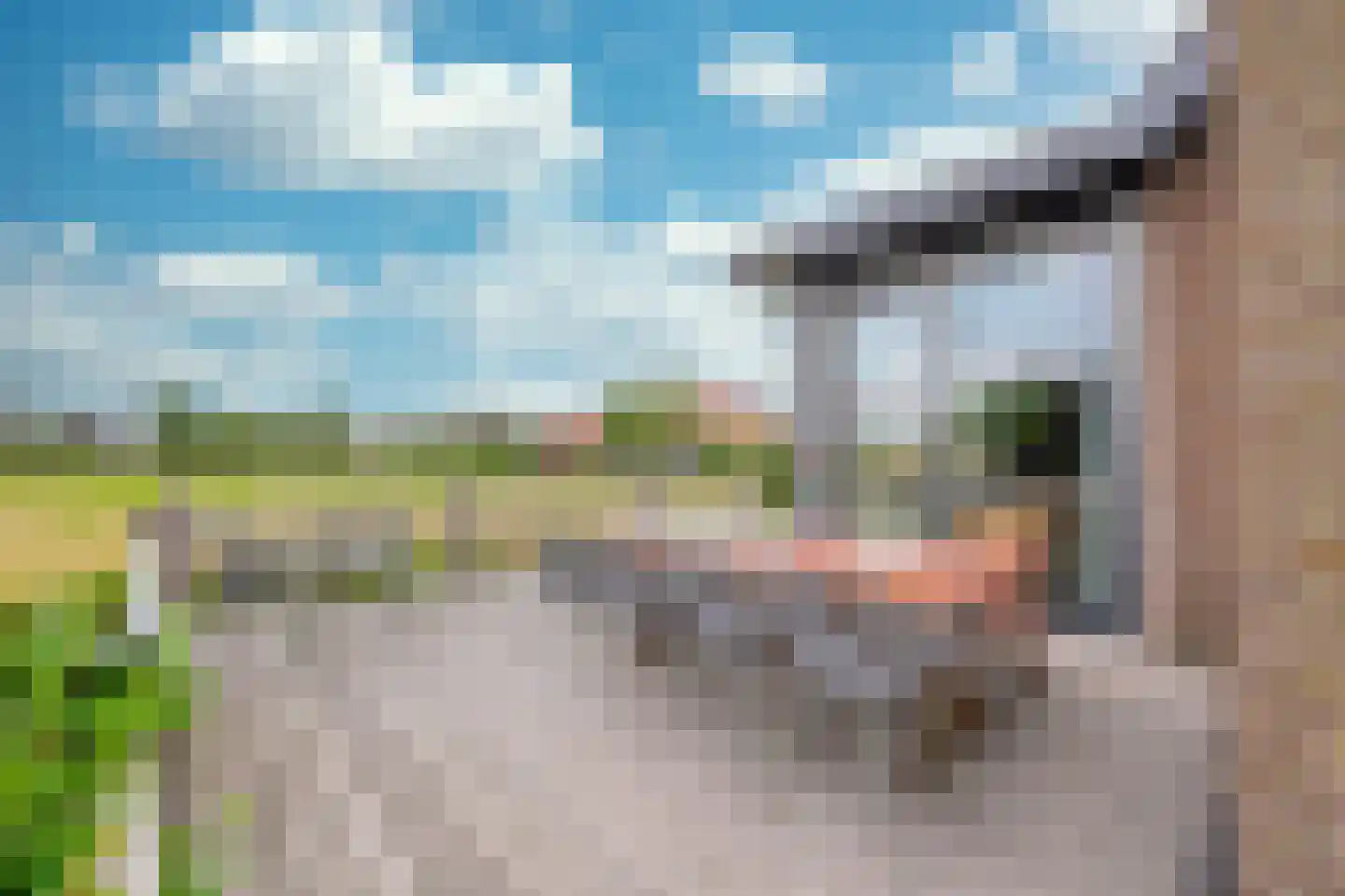 Zuideinde 56 Grootschermer thumbnail 18