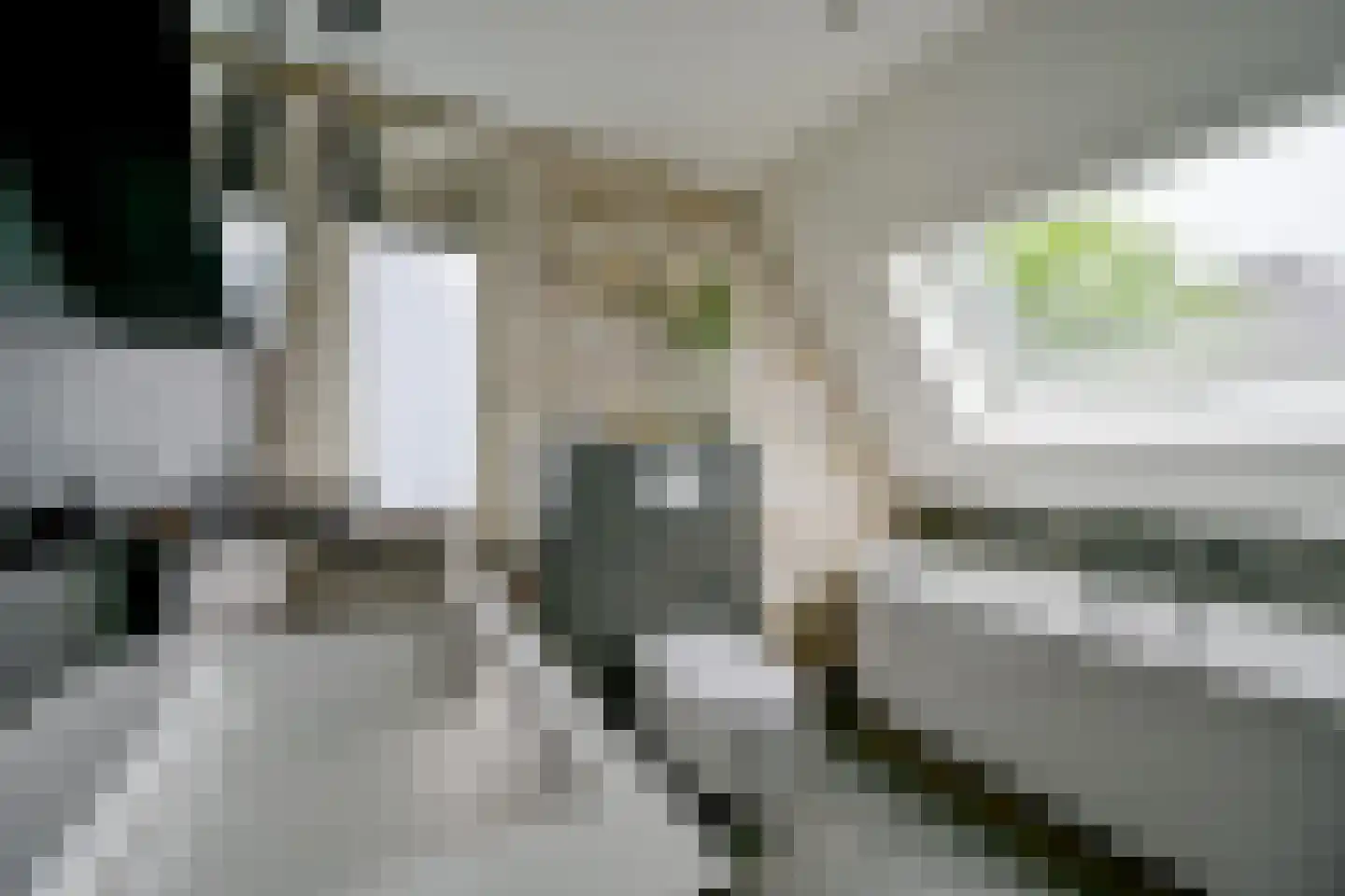 Zuideinde 56 Grootschermer thumbnail 26