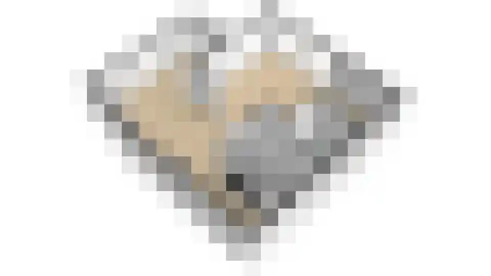 Zuideinde 56 Grootschermer thumbnail 35