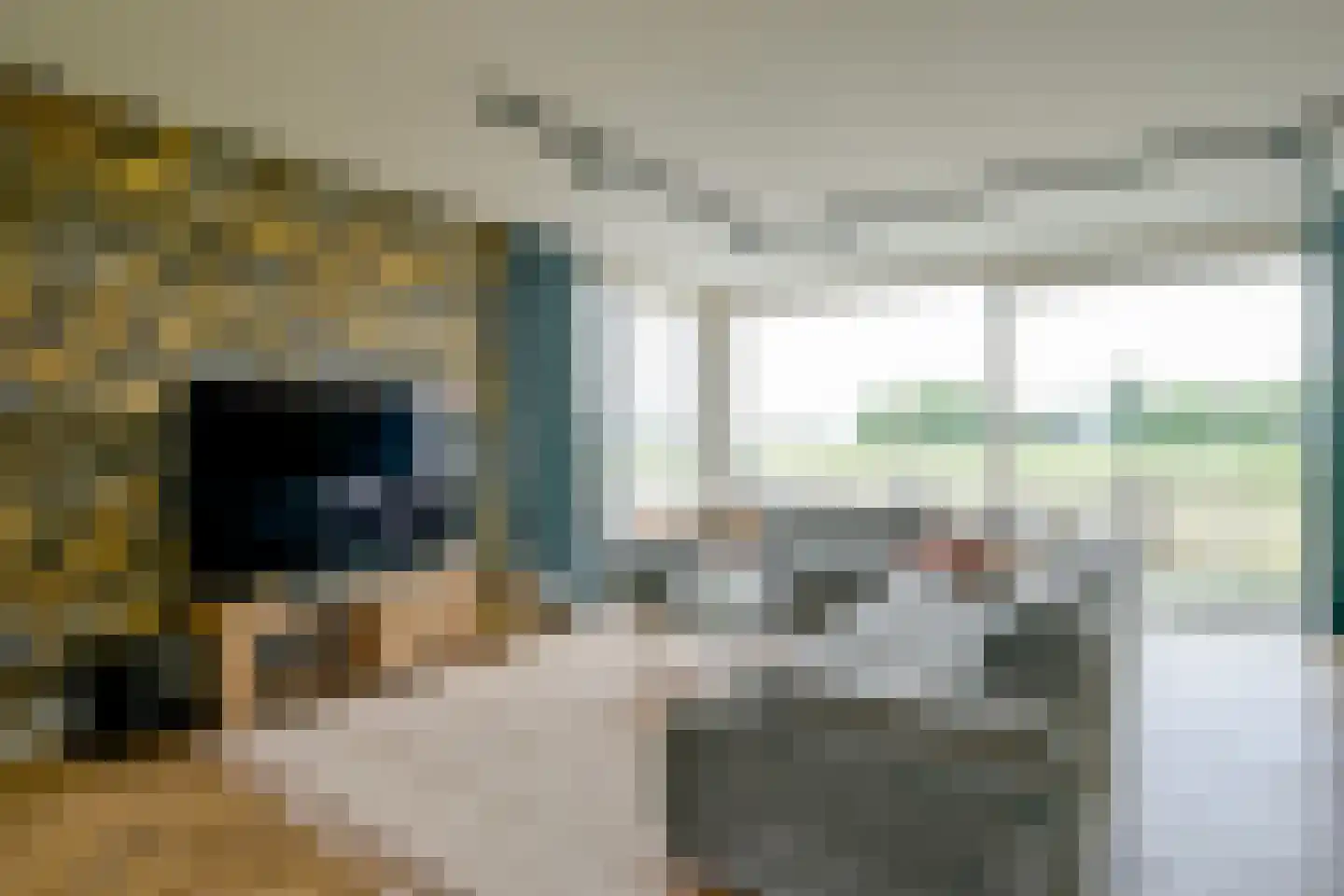 Zuideinde 56 Grootschermer thumbnail 4