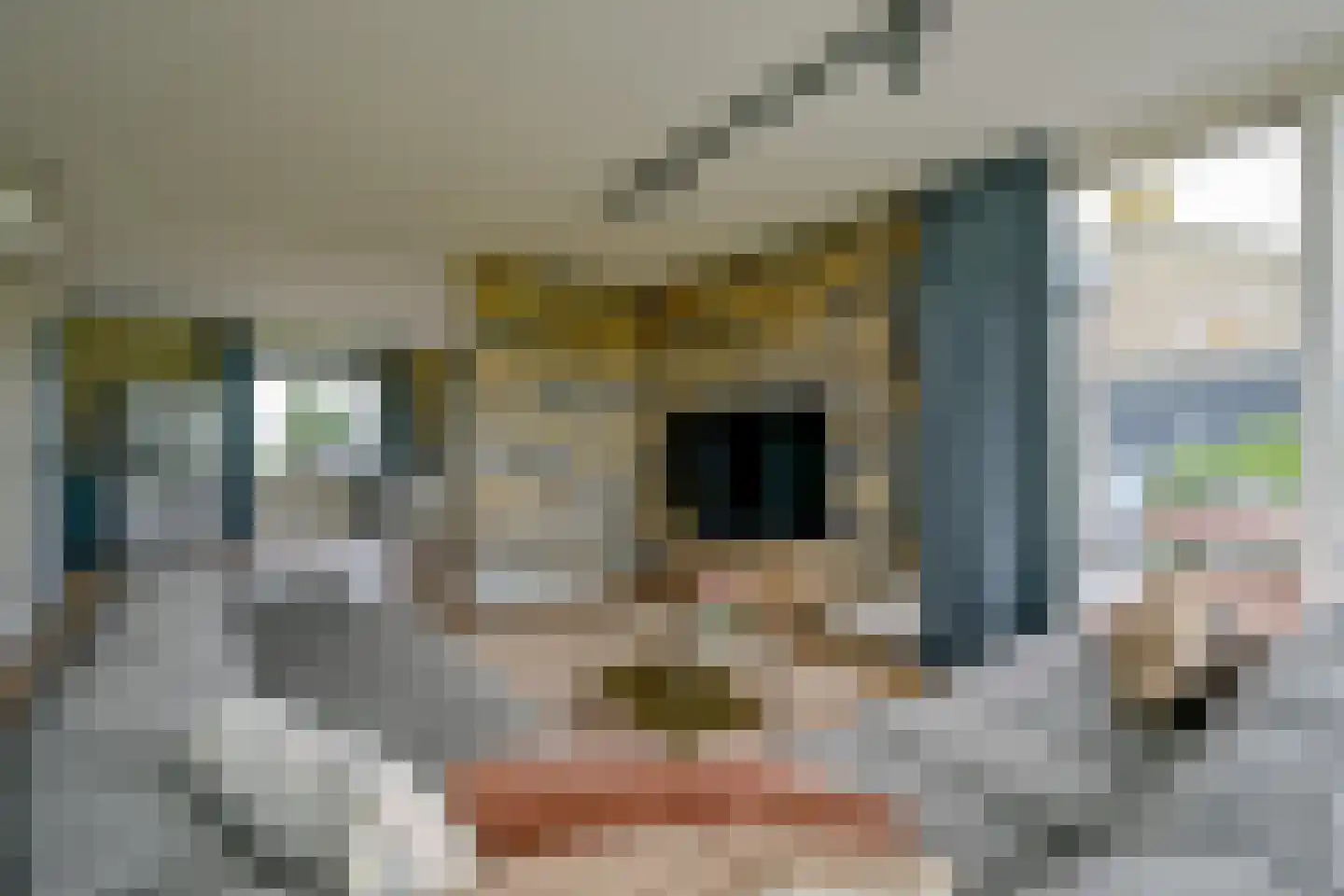 Zuideinde 56 Grootschermer thumbnail 6