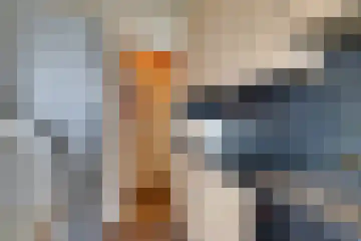 Zuideinde 56 Volendam thumbnail 22