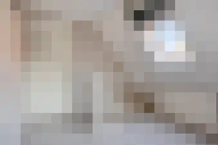Zuideinde 59 Oostzaan thumbnail 18