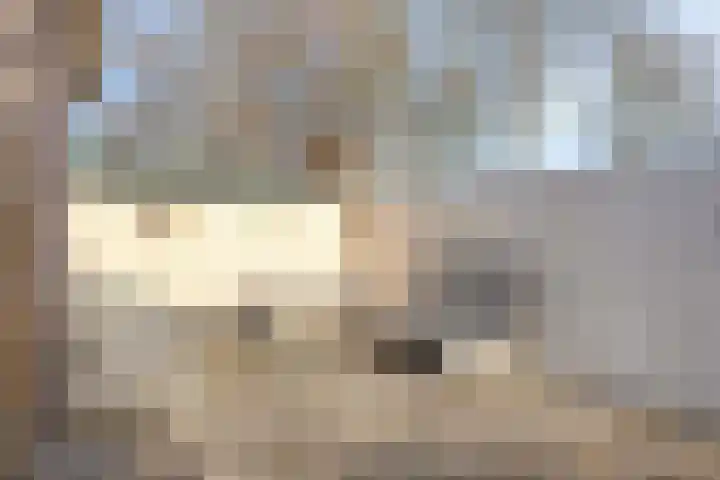 Zuideinde 59 Oostzaan thumbnail 34