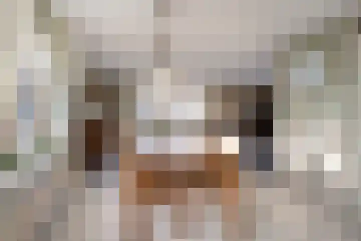 Zuideinde 59 Oostzaan thumbnail 4