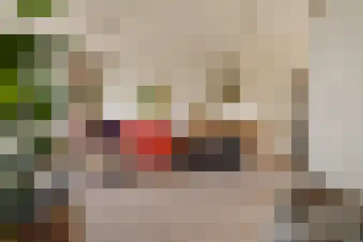 Zuideinde 6 Oostzaan thumbnail 15