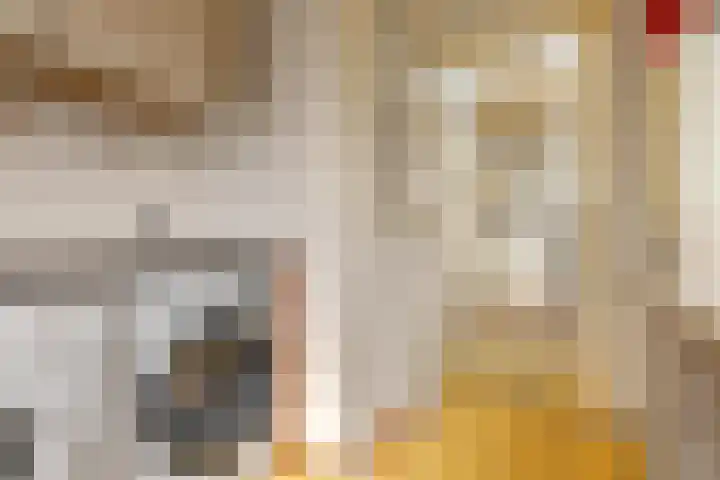 Zuideinde 6 Oostzaan thumbnail 25
