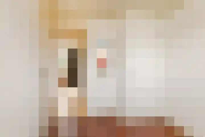 Zuideinde 6 Oostzaan thumbnail 30