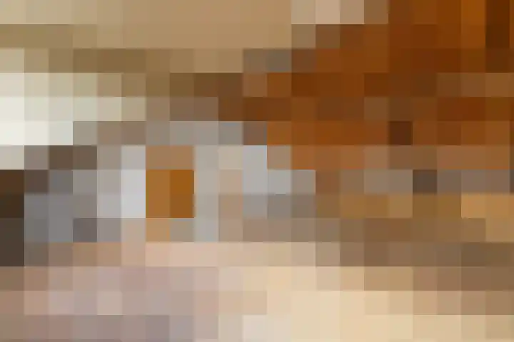 Zuideinde 6 Oostzaan thumbnail 37