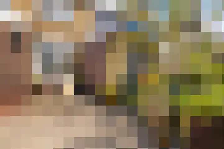 Zuideinde 6 Oostzaan thumbnail 40