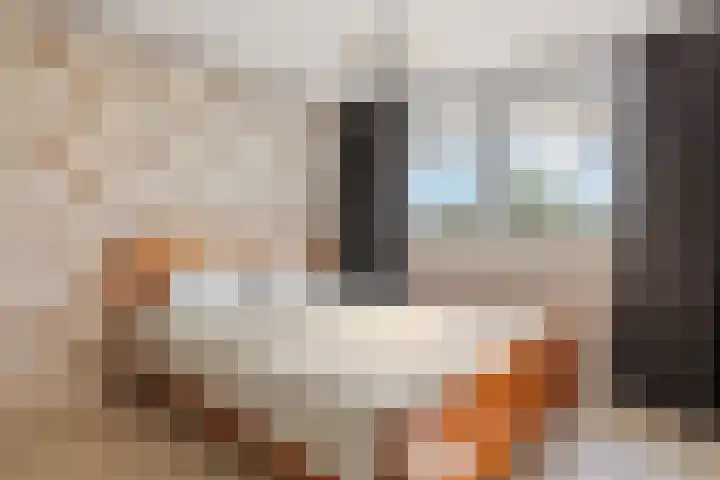 Zuideinde 6 Oostzaan thumbnail 5