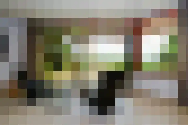 Zuideinde 64 Nieuwkoop thumbnail 10
