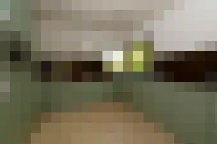 Zuideinde 64 Nieuwkoop thumbnail 12