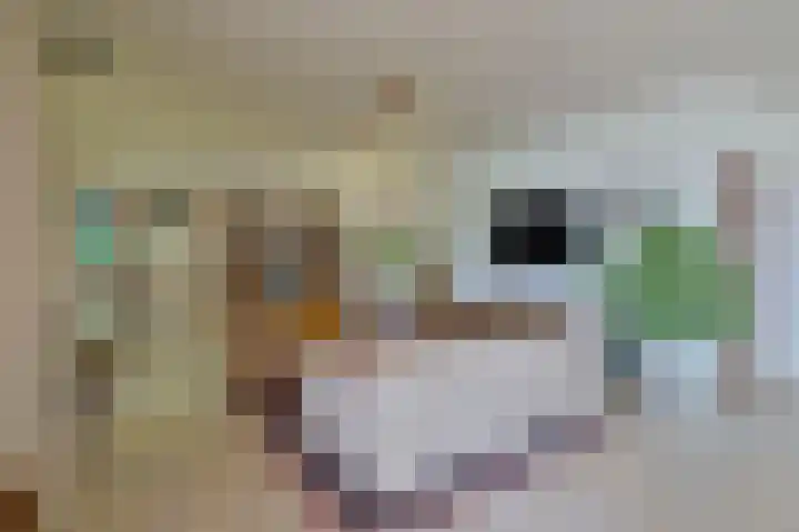 Zuideinde 64 Nieuwkoop thumbnail 13