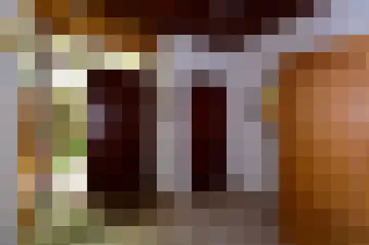 Zuideinde 64 Nieuwkoop thumbnail 15