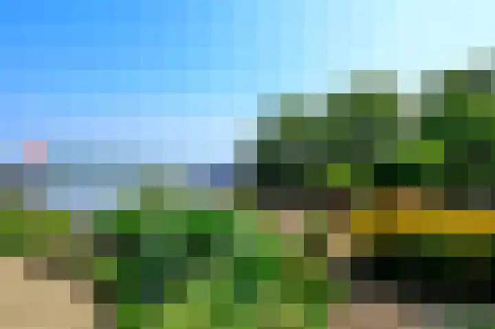 Zuideinde 64 Nieuwkoop thumbnail 35