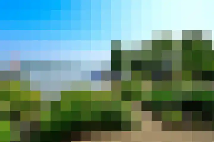 Zuideinde 64 Nieuwkoop thumbnail 36