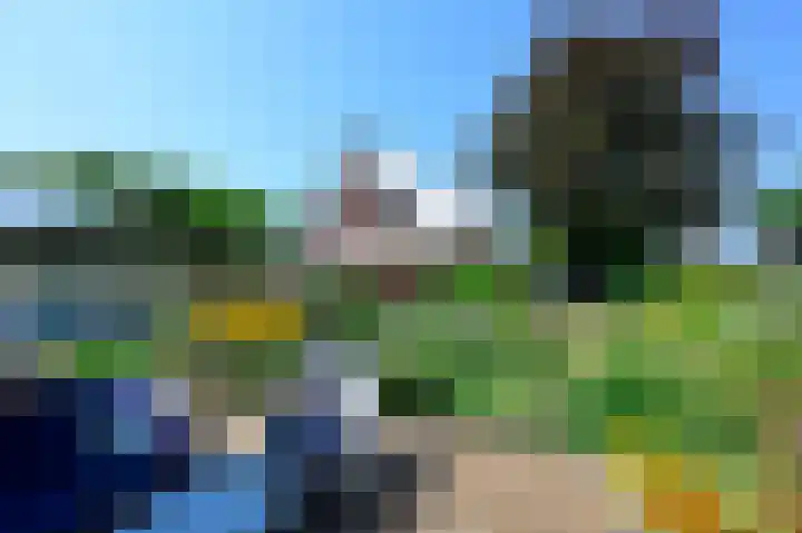 Zuideinde 64 Nieuwkoop thumbnail 37