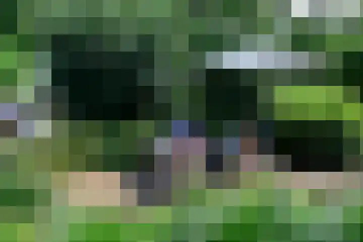 Zuideinde 64 Nieuwkoop thumbnail 38